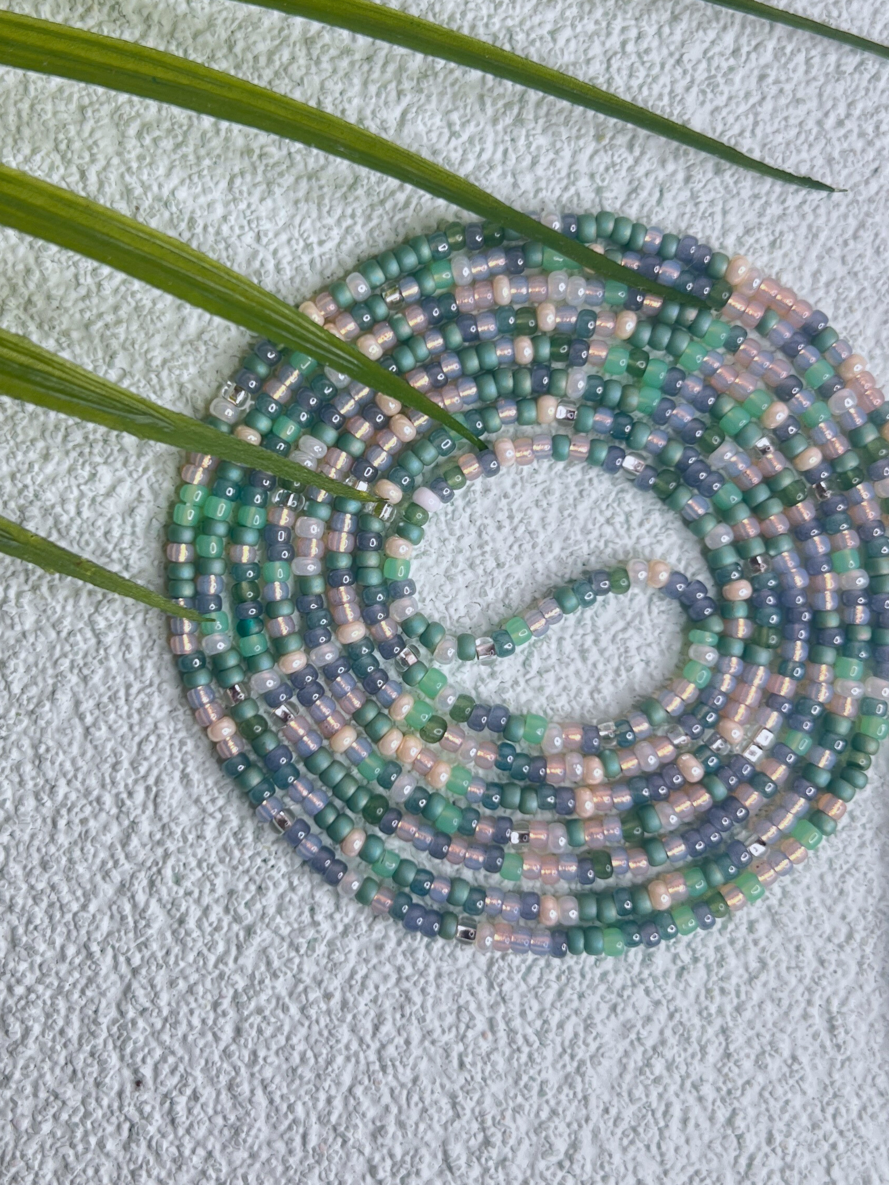 ABALONE
